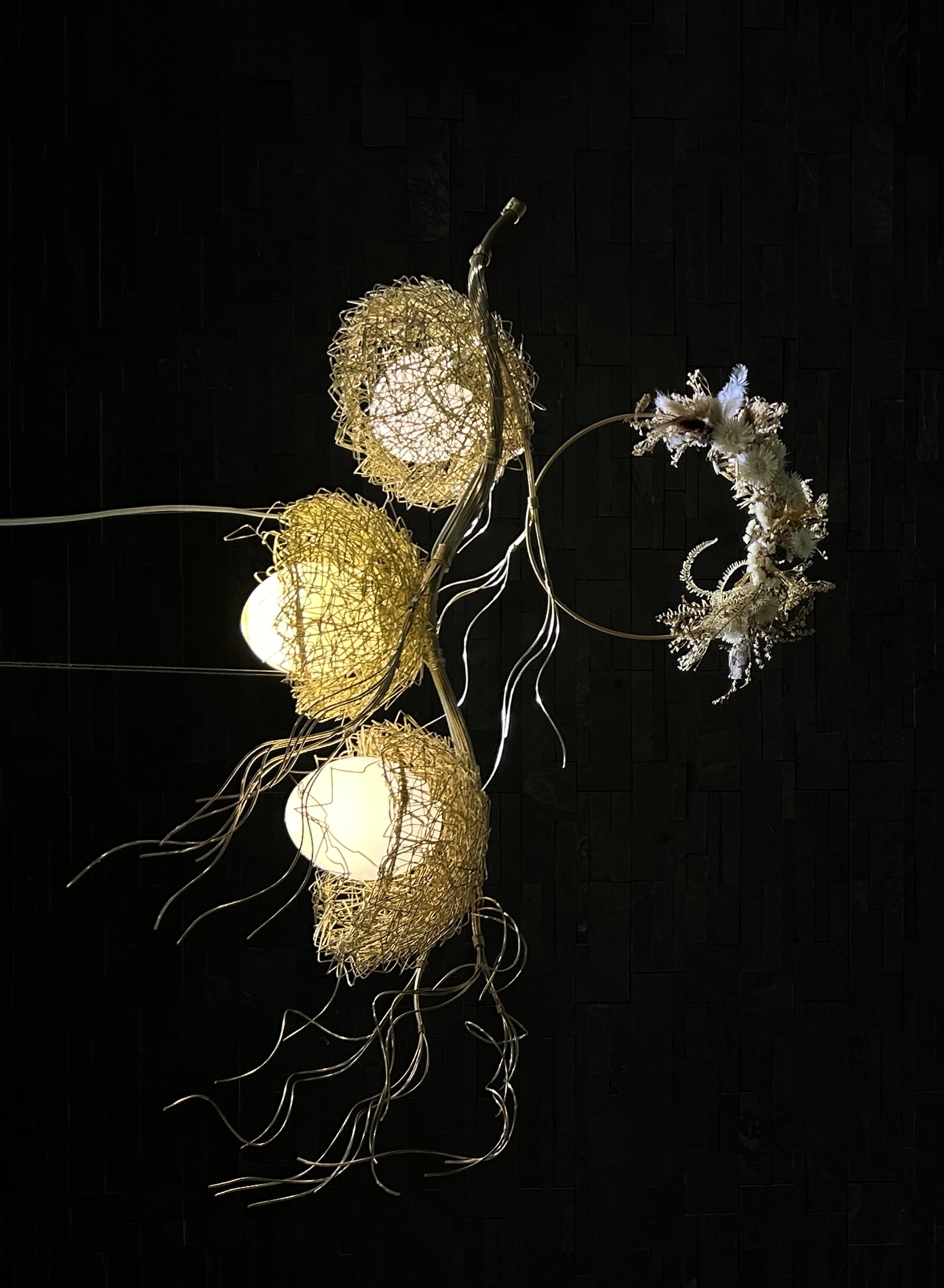JoJo WANG · 艺术装置