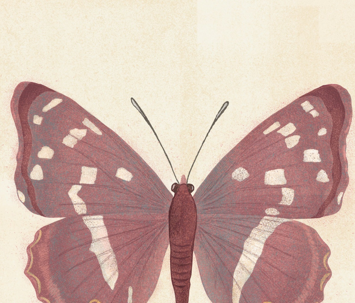 姜子勤 · Ziqin JIANG
