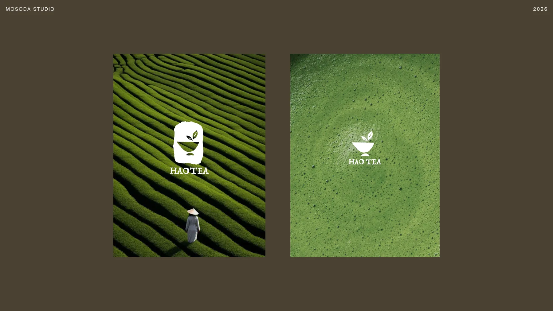 HAOTEA 品牌视觉应用案例