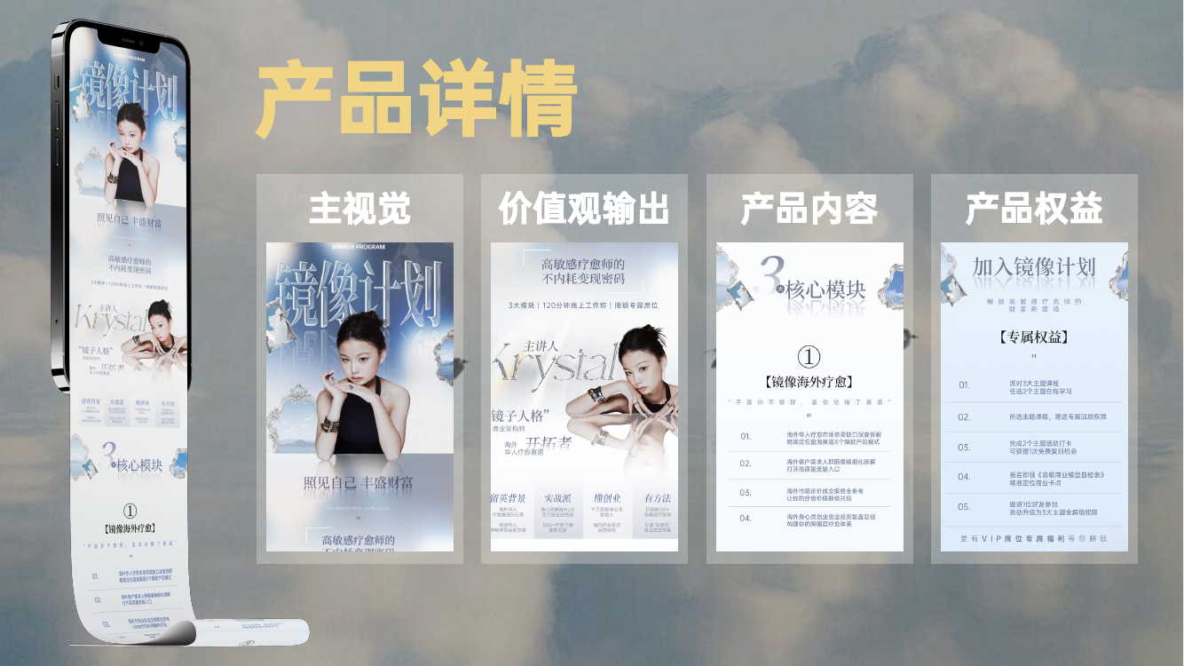 产品详情视觉系统案例